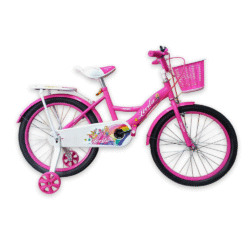 Bicicleta aro 20 niña [SOLO RETIRO EN TIENDA]